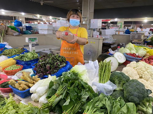 夏日冷鏈護航，松江城“菜籃子”新鮮度夏